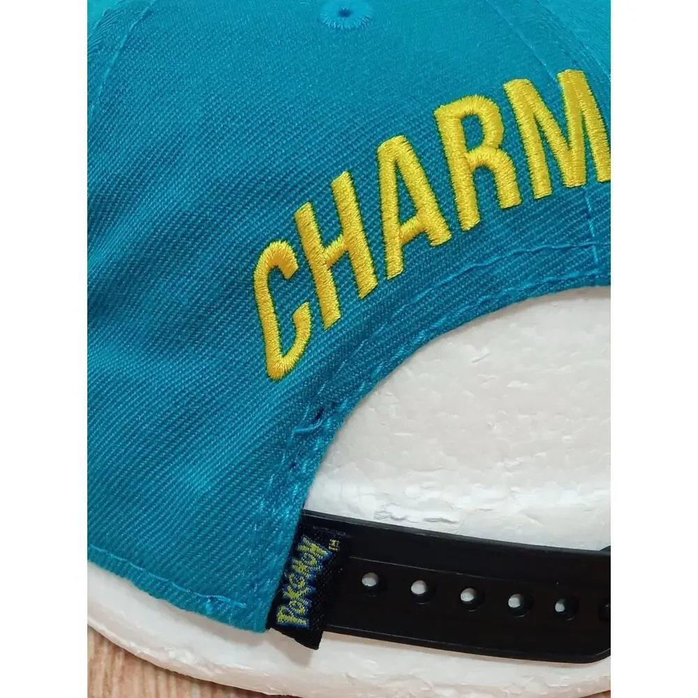 Pokemon Charmander Snapback Hat Youth Cap Blue Turquoise One Size Ajustable